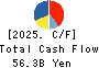 Daio Paper Corporation Cash Flow Statement 2025年3月期