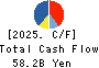 H2O RETAILING CORPORATION Cash Flow Statement 2025年3月期