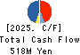 Basis Corporation Cash Flow Statement 2025年6月期