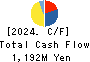 CVS Bay Area Inc. Cash Flow Statement 2024年2月期