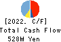 SIG Group Co.,Ltd. Cash Flow Statement 2022年3月期