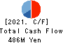 Interworks Confidence Inc. Cash Flow Statement 2021年3月期