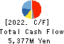 Nihon Tokushu Toryo Co.,Ltd. Cash Flow Statement 2022年3月期