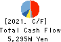 MATSUMOTO YUSHI-SEIYAKU CO.,LTD. Cash Flow Statement 2021年3月期