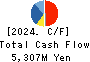 nms Holdings Corporation Cash Flow Statement 2024年3月期