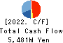 TECHMATRIX CORPORATION Cash Flow Statement 2022年3月期
