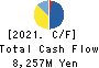 MATSUYA FOODS HOLDINGS CO., LTD. Cash Flow Statement 2021年3月期