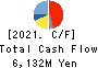 RISO KAGAKU CORPORATION Cash Flow Statement 2021年3月期