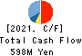 TOKYO NISSAN COMPUTER SYSTEM CO.,LTD Cash Flow Statement 2021年3月期
