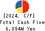 SHIBAURA MECHATRONICS CORPORATION Cash Flow Statement 2024年3月期