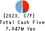 TOBISHIMA CORPORATION Cash Flow Statement 2023年3月期