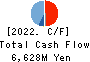 TSUBAKIMOTO KOGYO CO.,LTD. Cash Flow Statement 2022年3月期