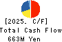 PACIFIC SYSTEMS CORPORATION Cash Flow Statement 2025年Mar期 PACIFIC SYSTEMS CORPORATION Cash Flow Statement 2025年3月期