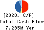 ZERIA PHARMACEUTICAL CO.,LTD. Cash Flow Statement 2020年Mar期 ZERIA PHARMACEUTICAL CO.,LTD. Cash Flow Statement 2020年3月期
