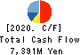 ZOJIRUSHI CORPORATION Cash Flow Statement 2020年11月期
