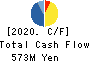 Nihon Seimitsu Co.,Ltd. Cash Flow Statement 2020年3月期