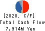 Mitsuboshi Belting Ltd. Cash Flow Statement 2020年3月期