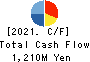 HYOKI KAIUN KAISHA, LTD. Cash Flow Statement 2021年3月期
