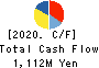 YAMASHINA CORPORATION Cash Flow Statement 2020年3月期