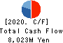 TSUZUKI DENKI CO.,LTD. Cash Flow Statement 2020年3月期