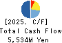 TOYO SECURITIES CO.,LTD. Cash Flow Statement 2025年Mar期 TOYO SECURITIES CO.,LTD. Cash Flow Statement 2025年3月期