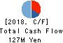Birdman Inc. Cash Flow Statement 2018年Jun期 Birdman Inc. Cash Flow Statement 2018年6月期