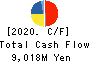 Sanoh Industrial Co., Ltd. Cash Flow Statement 2020年3月期