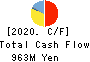 JAPAN INSULATION CO.,LTD. Cash Flow Statement 2020年3月期