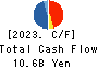 THE JAPAN WOOL TEXTILE CO., LTD. Cash Flow Statement 2023年11月期