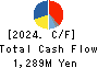 YAMADA CORPORATION Cash Flow Statement 2024年3月期