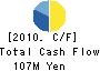 Akinasista Corporation. Cash Flow Statement 2010年3月期