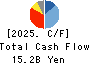 Abalance Corporation Cash Flow Statement 2025年3月期