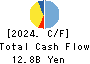 KYOKUTO KAIHATSU KOGYO CO.,LTD. Cash Flow Statement 2024年3月期