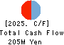 Techno Mathematical Co.,Ltd. Cash Flow Statement 2025年Mar期 Techno Mathematical Co.,Ltd. Cash Flow Statement 2025年3月期