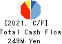 TB GROUP INC. Cash Flow Statement 2021年Mar期 TB GROUP INC. Cash Flow Statement 2021年3月期