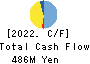 ULURU.CO.,LTD. Cash Flow Statement 2022年3月期