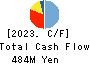 FLECT Co.,Ltd. Cash Flow Statement 2023年3月期
