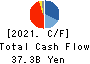 ARE Holdings, Inc. Cash Flow Statement 2021年Mar期 ARE Holdings, Inc. Cash Flow Statement 2021年3月期