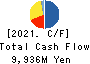 Shindengen Electric Manufacturing Co. Cash Flow Statement 2021年3月期