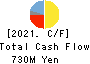KATSURAGAWA ELECTRIC CO.,LTD. Cash Flow Statement 2021年3月期