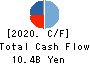 RAIZNEXT Corporation Cash Flow Statement 2020年3月期