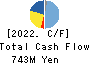 EIDAI KAKO CO.,LTD. Cash Flow Statement 2022年3月期