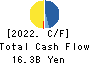 Nippon Yakin Kogyo Co.,Ltd. Cash Flow Statement 2022年3月期