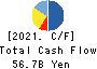 Nishi-Nippon Railroad Co.,Ltd. Cash Flow Statement 2021年Mar期 Nishi-Nippon Railroad Co.,Ltd. Cash Flow Statement 2021年3月期