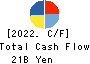 JVCKENWOOD Corporation Cash Flow Statement 2022年3月期