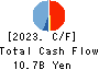 SHINNIHON CORPORATION Cash Flow Statement 2023年3月期