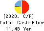 THE JAPAN WOOL TEXTILE CO., LTD. Cash Flow Statement 2020年11月期