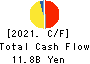 Japan Asia Group Limited Cash Flow Statement 2021年3月期
