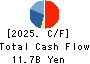 DAIHO CORPORATION Cash Flow Statement 2025年3月期