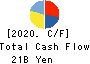 NIKKISO CO.,LTD. Cash Flow Statement 2020年12月期